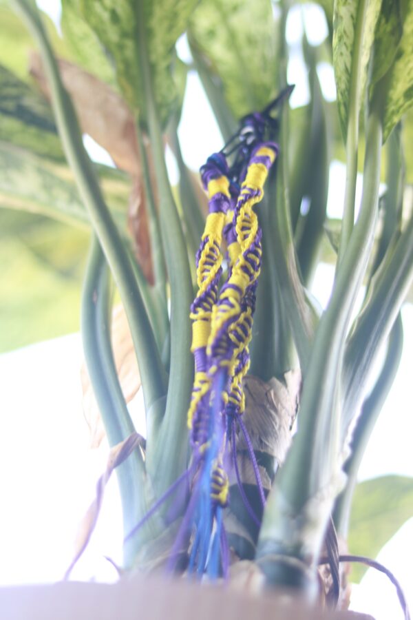 Purple & Yellow Tzitzits - Image 3